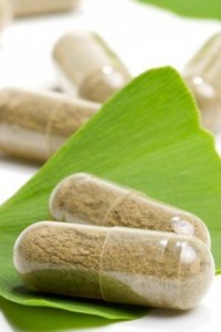 La poudre de feuille de Ginkgo bio, un antioxydant naturel puissant