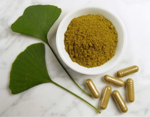 La poudre de feuille de Ginkgo biloba bio, antioxydant naturel puissant