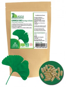 Achetez sur biologiquement.shop du Ginkgo Biloba biologique